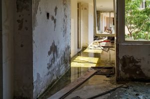 How Can Water Damage Restoration Help You?