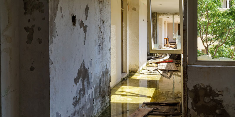 How Can Water Damage Restoration Help You?