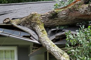 Three Reasons Why You Need Storm Damage Restoration