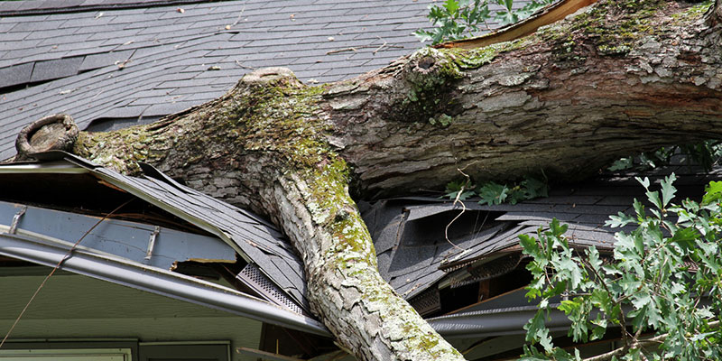 Three Reasons Why You Need Storm Damage Restoration